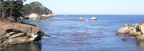 Point Lobos
