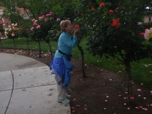 Smelling the roses