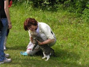 Holly petting a kitty at the IVV olympiad in Estonia